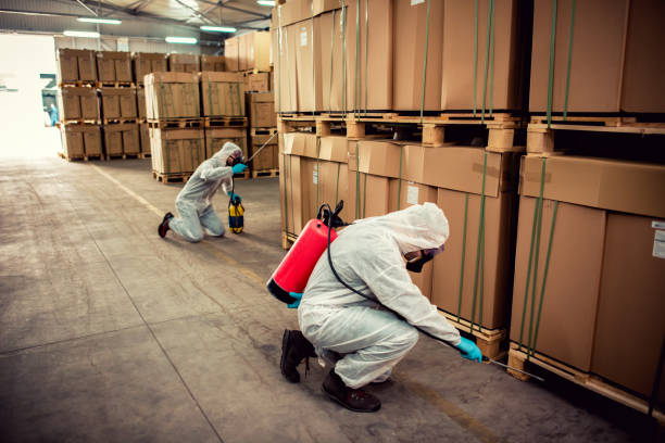 Best Flea Control Services  in Alexandria Bay, NY