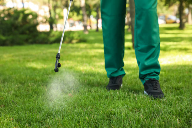 Best Pest Inspection Near Me  in Alexandria Bay, NY
