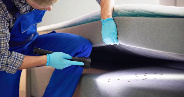 Reliable Alexandria Bay, NY Pest Control Solutions