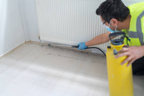 Best Best Pest Control Companies  in Alexandria Bay, NY