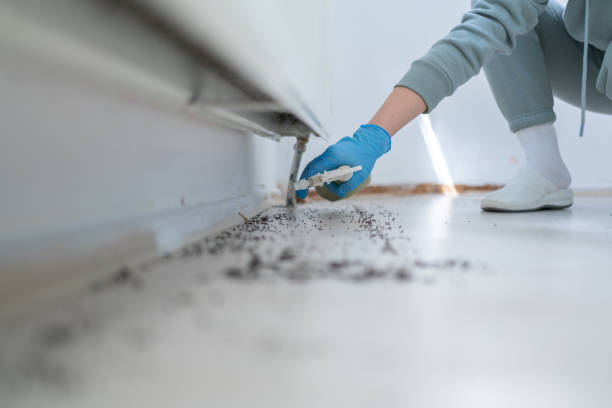 Best Pest Removal Services  in Alexandria Bay, NY